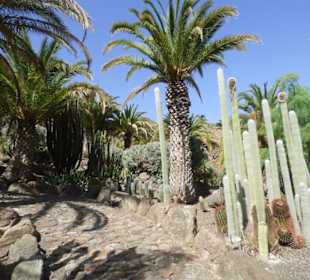 Kaktuspark