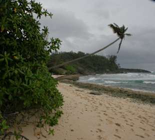 Silhouette, Anse Lascars