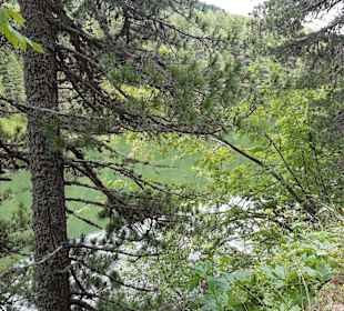 Wandern Turracher Höhe