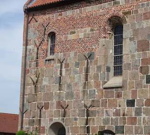 Maueranker an der Kirche St. Sixtus und Sinicius