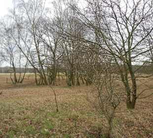 Naturschutzgebiet Boberger Niederung
