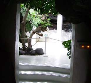 Im Wohnhaus von Cesar Marrique