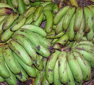 Rundgang über den Petit Marché von Saint-Denis