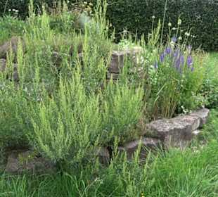 ALB-GOLD Naturgarten