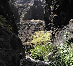 Schlucht von Masca