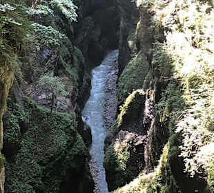 Wandern Kochelbergalm - Aulealm