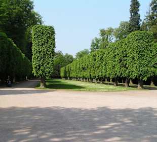 Schloss Benrath - Gartenanlage 2