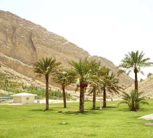  Oase Al Ain