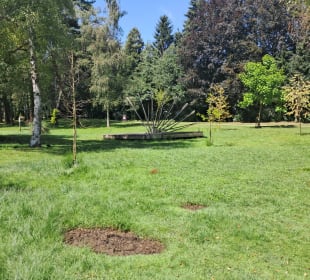  Molenvijverpark in Genk, Belgien 
