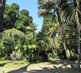 Impressionen aus dem Botanischen Garten Cagliari