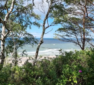 Blick auf den Strand 