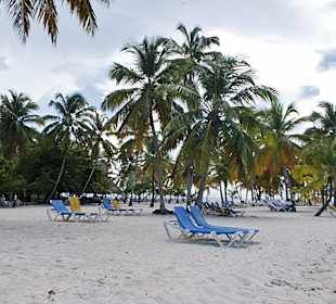 Bacardi Insel - Samána - Dominikanische Republik