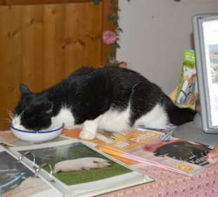 Meine Name ist Maxl und ich wohne hier