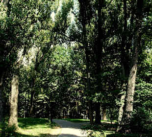 Park Marszałka Edwarda Rydza-Śmigłego
