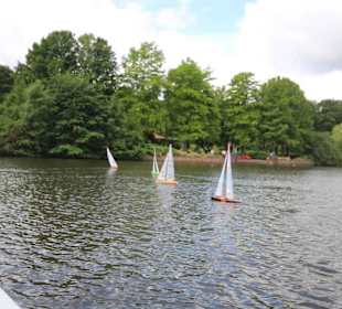 Minisegler auf dem Stadtparksee