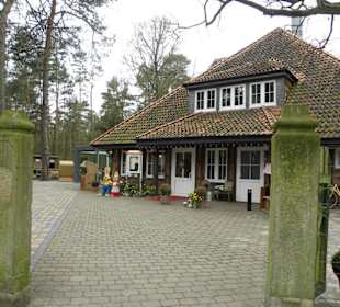 Biergarten  Waldkater