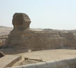 Die Sphinx von Gizeh