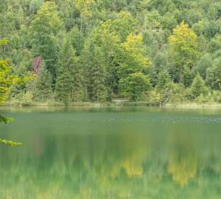 Beim Frillensee am Bergwald-Erlebnispfad