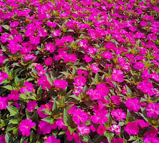 Altstadt Meran/Merano