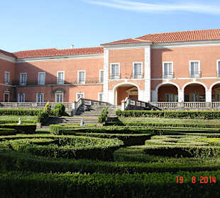 Ozdobne formy z krzewów