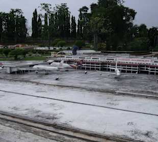 Bangkok Airport Don Muang