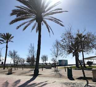 Strandpromenade Playa/Platja de Palma