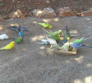 Amazonas Park