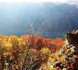 Ausblick Affalterthal