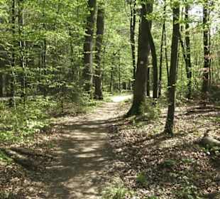 Wanderweg Hochgehwachsen