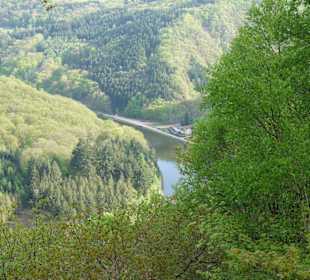 Umgebung der großen Saarschleife