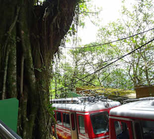 Rio Tours