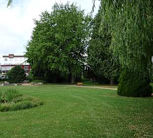 Am Mokichi-Saito-Weg