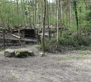 Walderlebnisweg Rottenburg