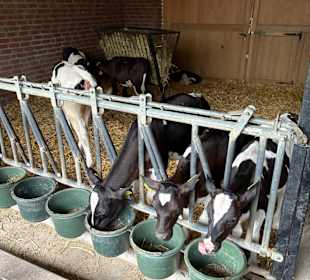 Irrland Bauernhof-Erlebnisoase