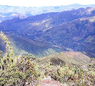 Podocarpus Nationalpark