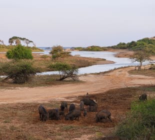 Yala Nationalpark 
