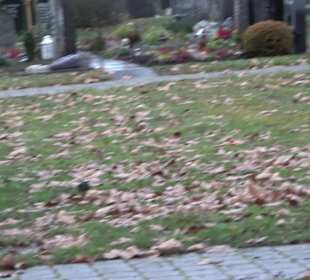 Friedhof Mittelstadt