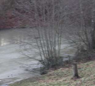 Ochsenweiher Rundweg