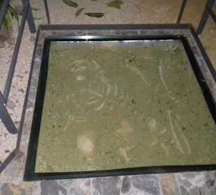 Museo Guanche in Icod de los Vinos