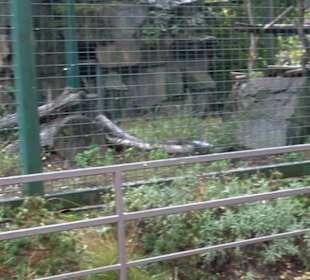 Tierpark 
