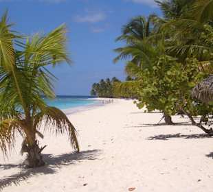 Saona