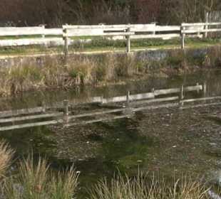 Hüle beim Dorfgemeinschaftshaus Bernloch
