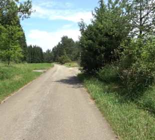 Wanderung Froschteich-Tour