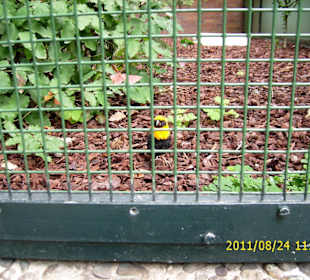 Besuch im Berliner Zoo