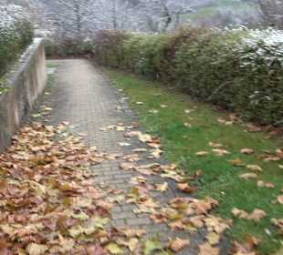 Friedhof Kappishäusern