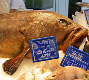 Großfrischfischauslage