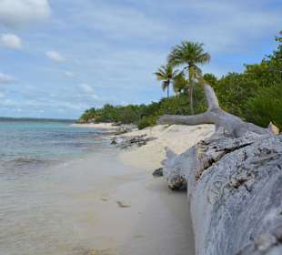 Catalina - Nature Complete