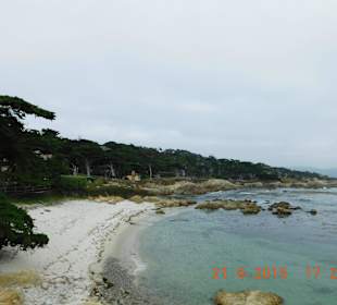 Zypressenwald am 17 Mile Drive