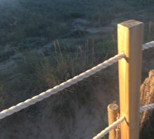 Naturschutzgebiet Dunes de Son Real