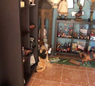 Museo Etnográfico Tanit